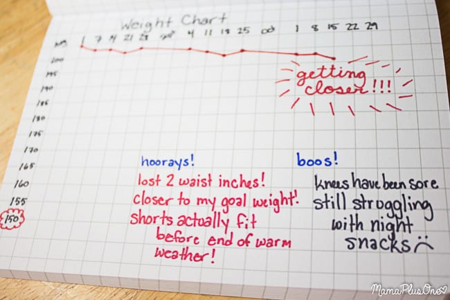 the best bullet journal trackers guide for beginners planning