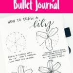 How to Draw Easy Flower Doodles for Bullet Journal Spreads
